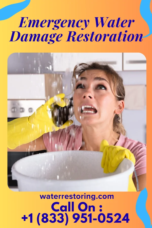 Emergency Water Damage Restoration in Lyndon, IL