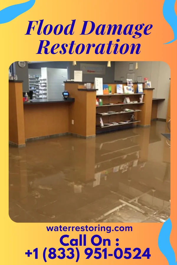 Flood Damage Restoration in Lyndon, IL