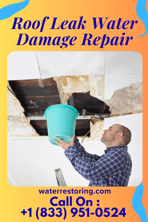 Roof Leak Water Damage Repair in Lyndon, IL